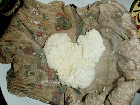 Homemade cheese curds