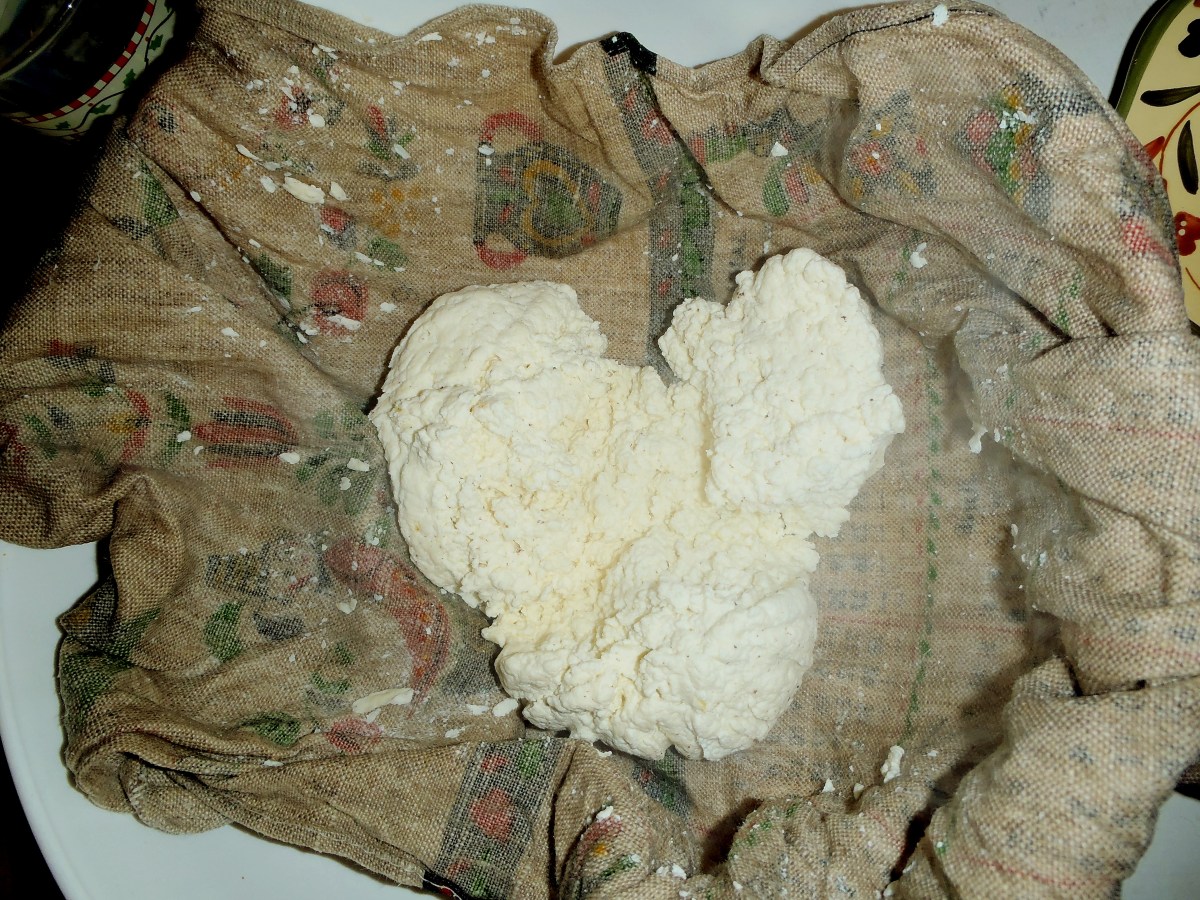 Homemade cheese curds