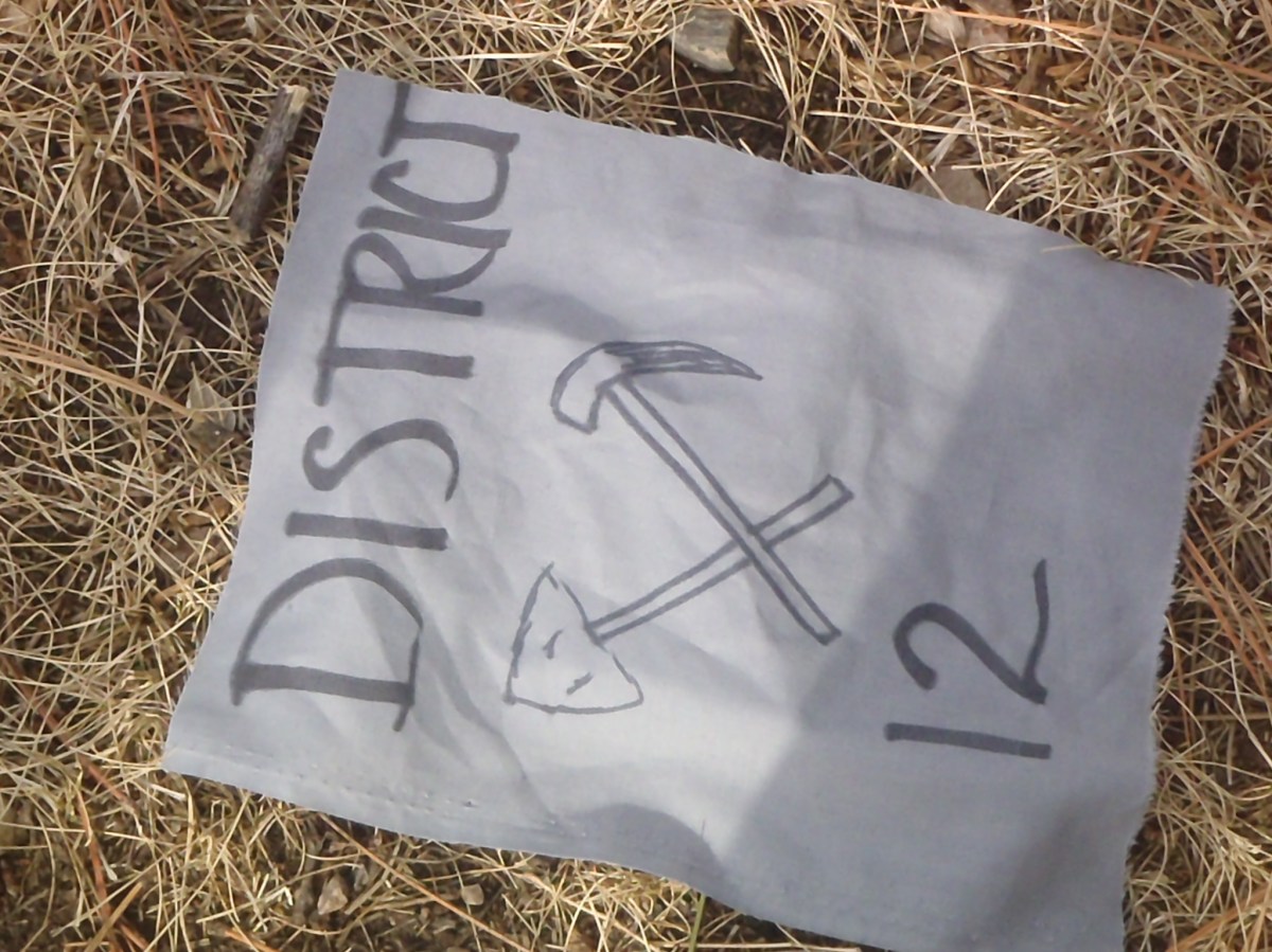 Nemo Outhouse Races 2013