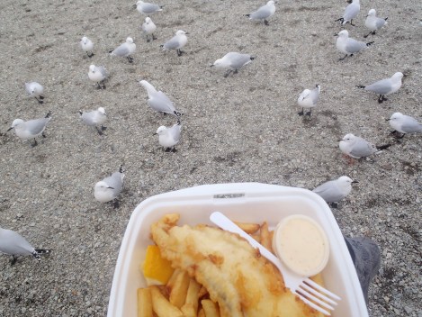 Aggy's Shack, Queenstown, New Zealand 