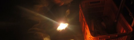 Fishing at Fowler's Bay, South Australia