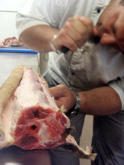 Kangaroo Tail Soup, Australia