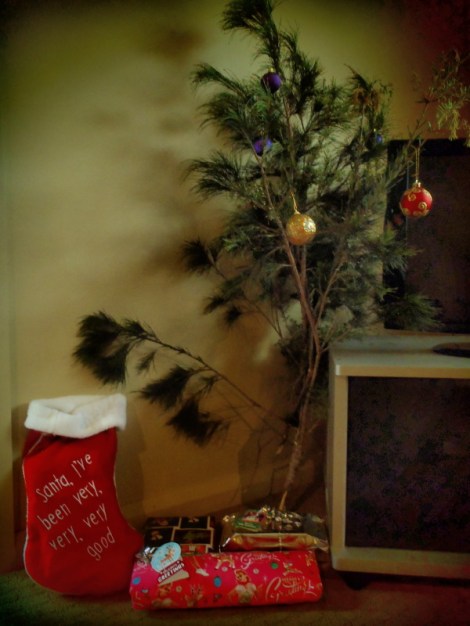 Tasmania Christmas Tree