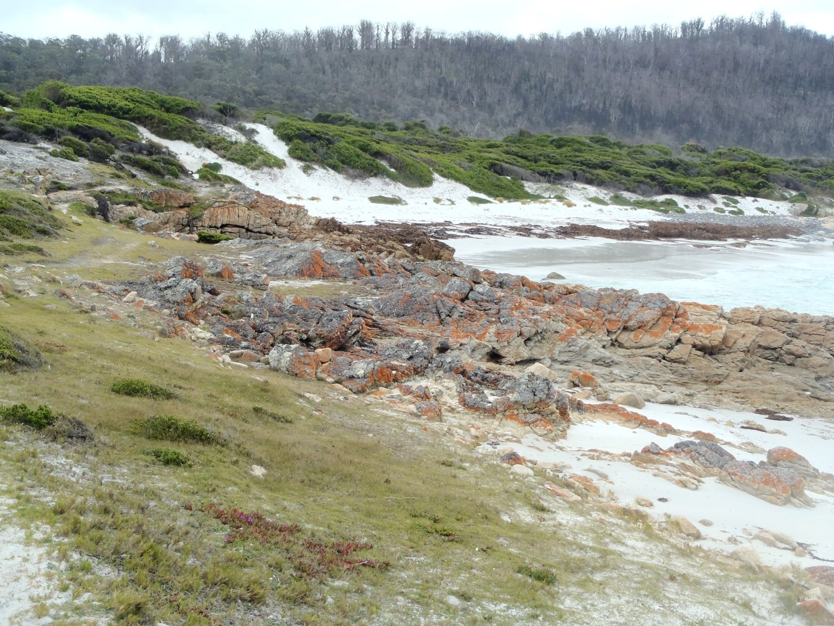 Friendly Beaches, Freycinet National Park