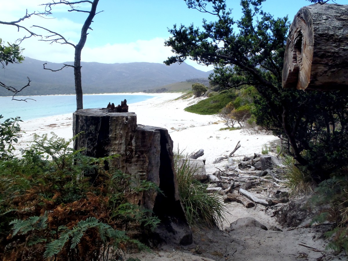 Wineglass Bay, Freycinet National Park