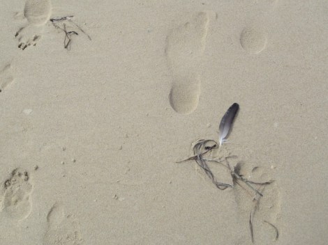Sandpiper Beach, Tasmania