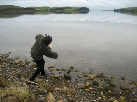 Catlins, New Zealand