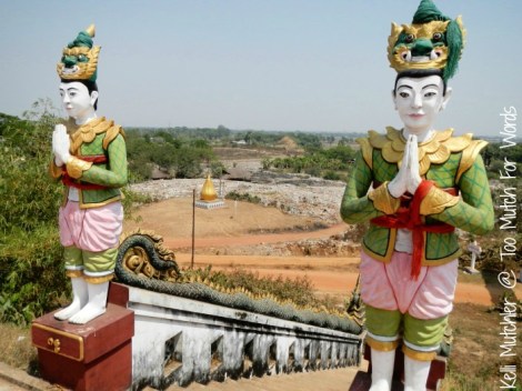 books to remember Veterans Day Burma campaign