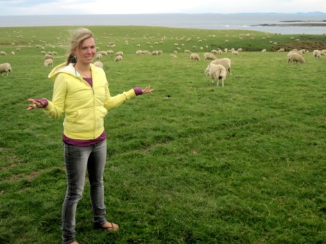 small town New Zealand