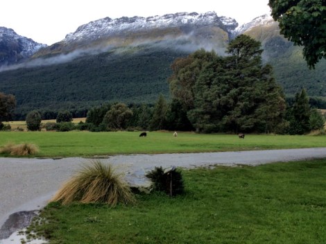 Paradise New Zealand