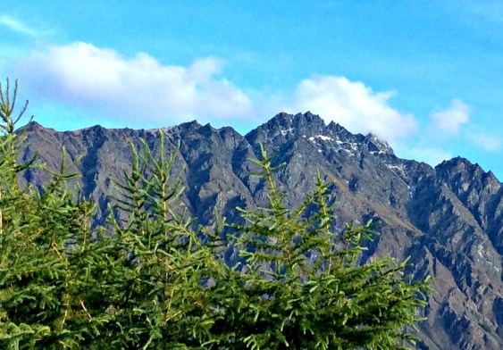 Christmas in New Zealand