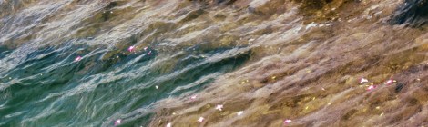 Pearl Harbor Memorial