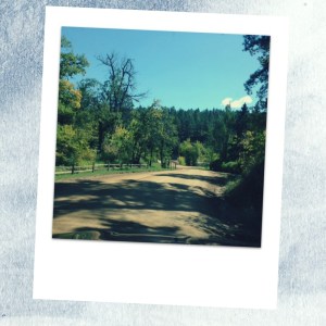 polaroid, discover home