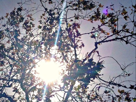 autumn travel playlist