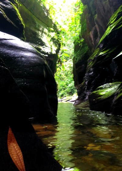Guanapo Gorge Trinidad