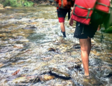 swimming up Guanapo Gorge Trinidad