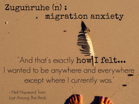 travel quote Neil Hayward