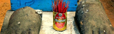 weekly photo challenge graceful