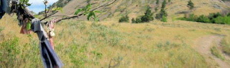 Bear Butte Mato Paha South Dakota, weekly photo challenge, focus