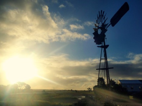 Midwest summer road trip