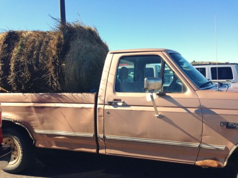 Midwest summer road trip farms