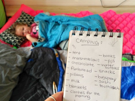 microadventure L.A. living room