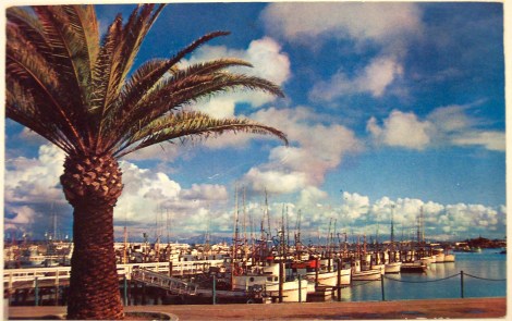 vintage postcard San DIego fishing pier